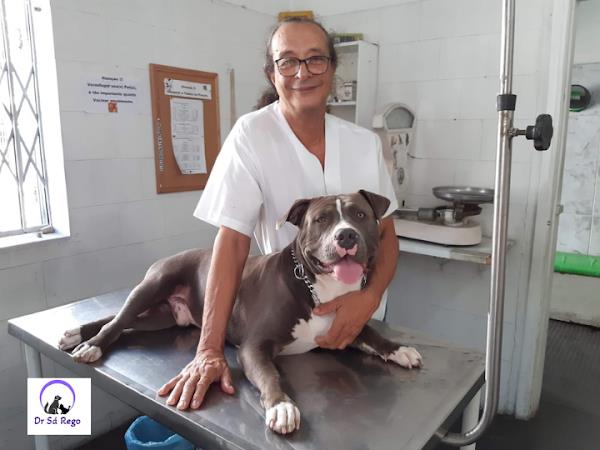 Cliníca Veterinária São Francisco de Assis
