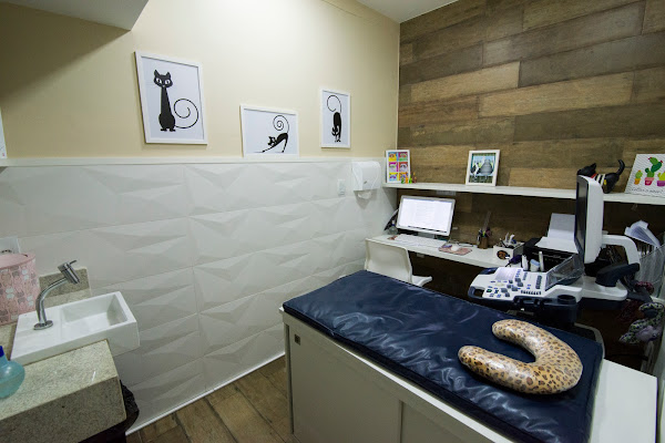 Foto 3 IEMEV - Instituto de Especialidades em Medicina Veterinária