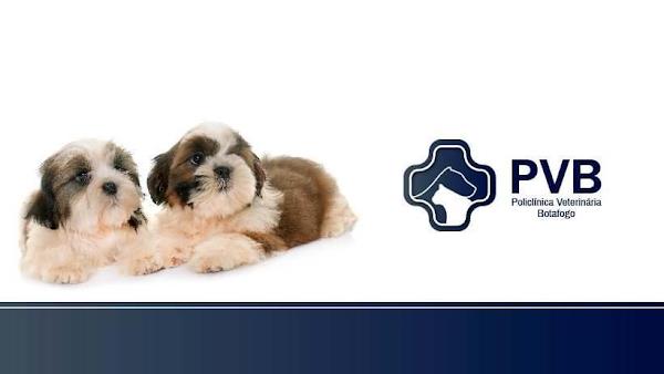 Policlínica Veterinária Botafogo