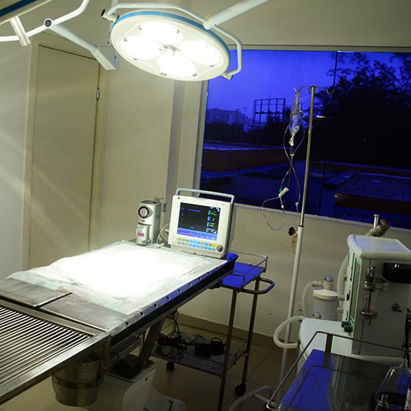 Foto 2 Clinica Bird Care - Clínica de Aves, Roedores e Silvestres (Hospital Veterinário 24 horas)