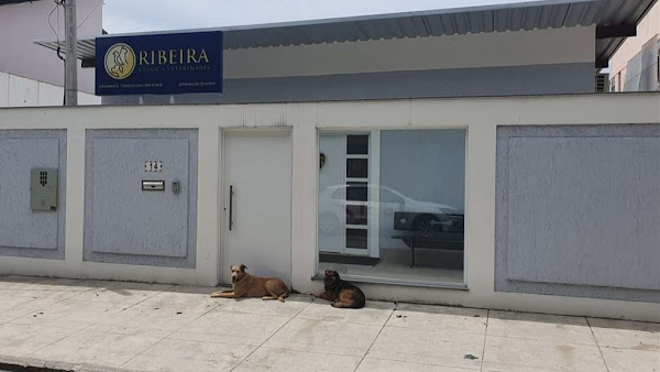 CLINICA VETERINÁRIA RIBEIRA CLINICA VETERINÁRIA RIBEIRA