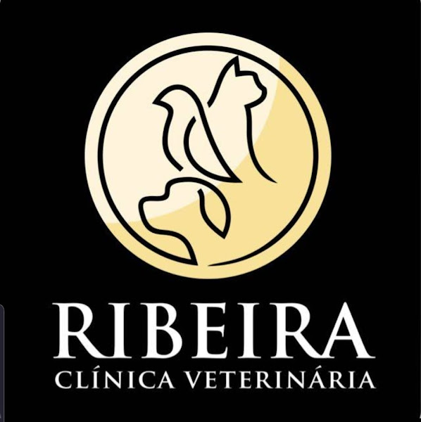 Foto 3 CLINICA VETERINÁRIA RIBEIRA