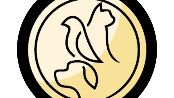 Foto 4 CLINICA VETERINÁRIA RIBEIRA