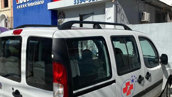 Hospital Veterinário Cinco Estrelas Hospital Veterinário Cinco Estrelas