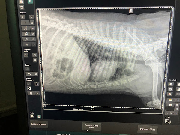 Foto 1 Hospital Veterinário Cinco Estrelas