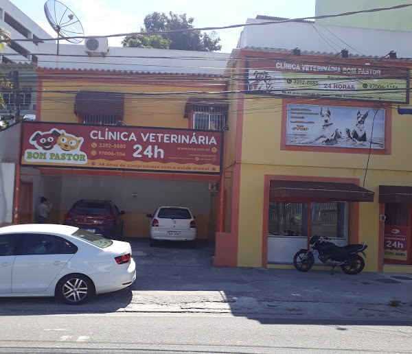 Foto 2 Clínica Veterinária Bom Pastor - Emergências 24 horas