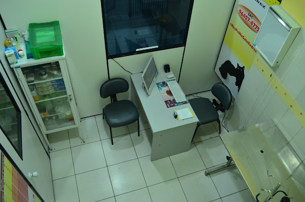 Veterinária Gato Xadrez