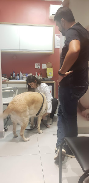 Don Vet - Clínica Veterinária Copacabana