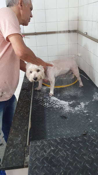 Clínica Veterinária Luciano Passos Clínica Veterinária Luciano Passos