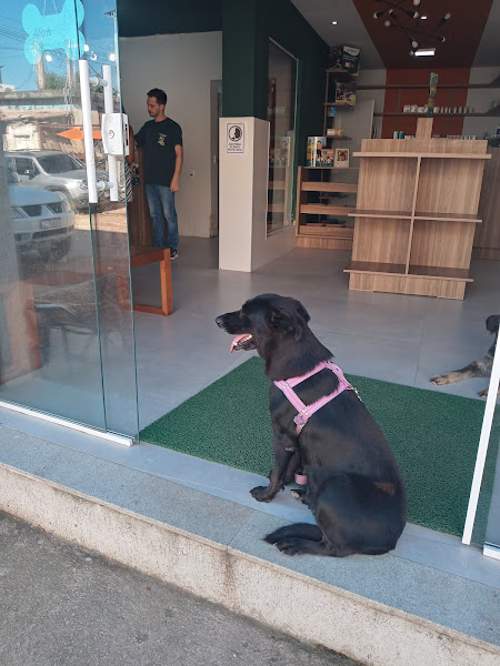 Foto 1 Veterinária Paciência