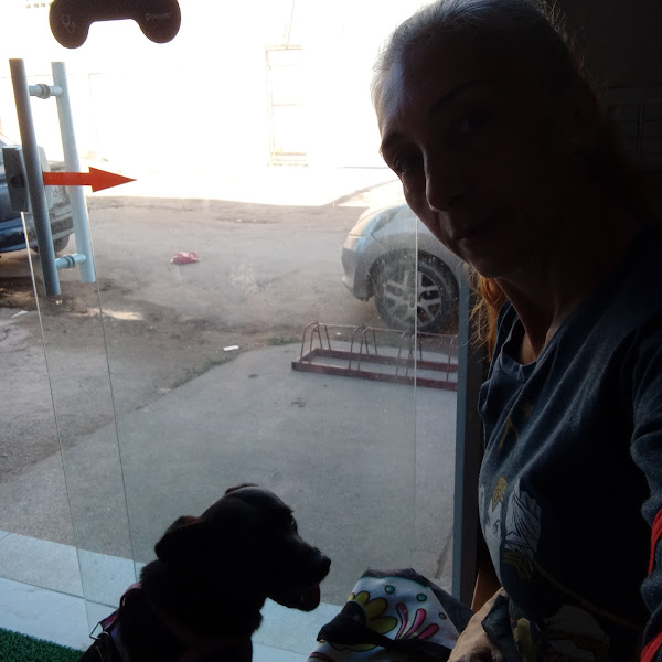 Foto 2 Veterinária Paciência