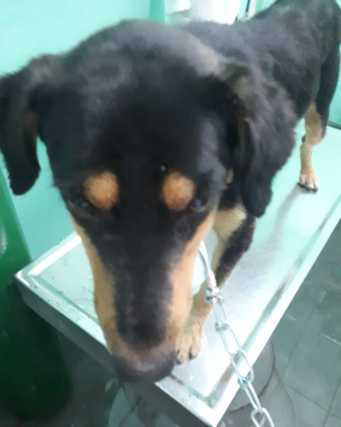 Foto 2 Veterinaria Suburbana