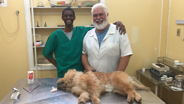 Foto 1 Veterinária Universo Animal