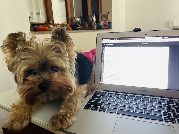 Foto 3 Consultorio Veterinário