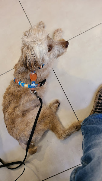 Foto 1 Hospital Veterinário Botafogo