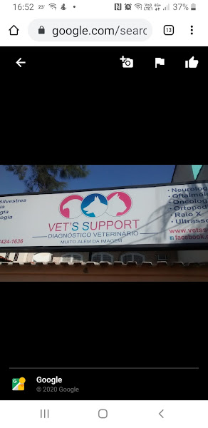 Foto 3 Veterinária Vet's Support