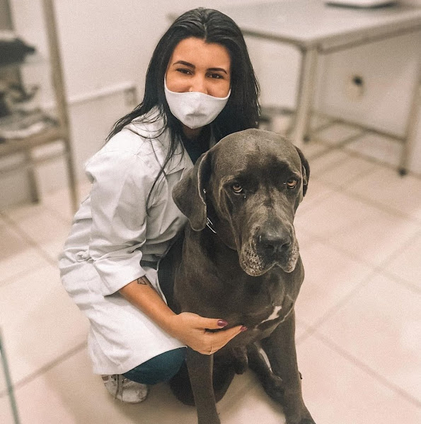 Foto 2 Anjos de Patas Clínica Veterinária