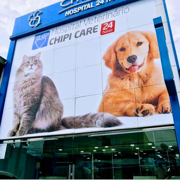 Foto 1 Hospital Veterinário Chipi Care
