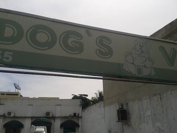 Foto 1 Dog's Vet Veterinária