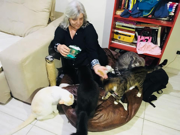 Consultório Veterinário Celina Bessa