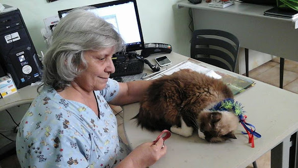 Foto 1 Consultório Veterinário Celina Bessa