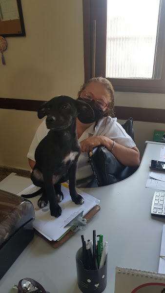 Foto 1 consultório Veterinário Panda