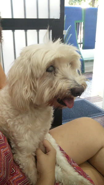 Foto 1 Prolab Diagnósticos