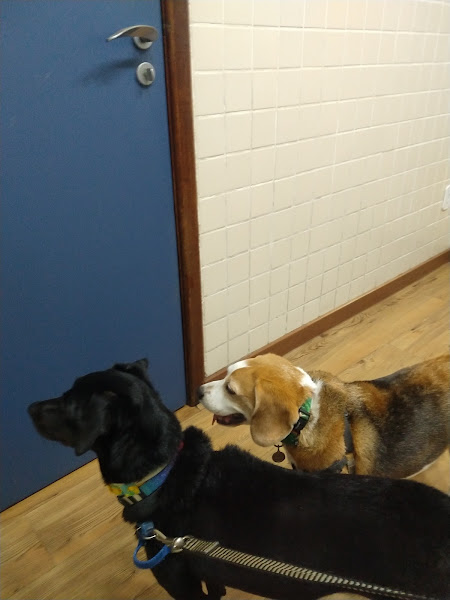 Foto 2 Prolab Diagnósticos