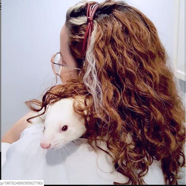 Foto 1 CRV Imagem - Centro de Referência Veterinária - Copacabana