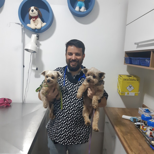 Veterinária Só Dog