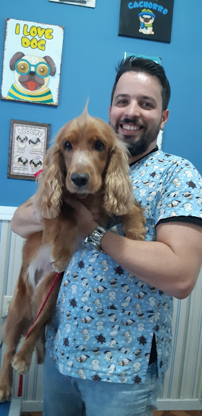 Foto 1 Veterinária Só Dog