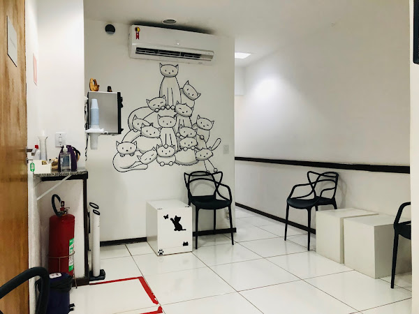 Foto 1 CAT para Gatos