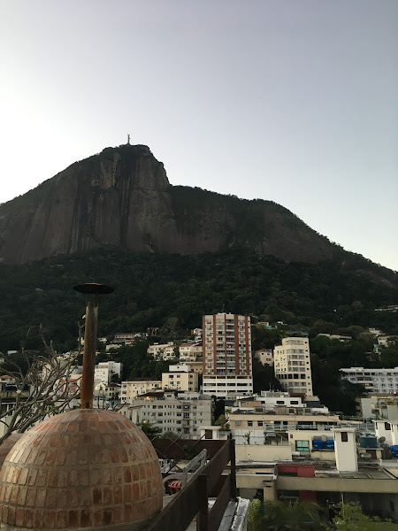 Foto 3 Maju PetShop e Veterinária Foto 3 Maju PetShop e Veterinária