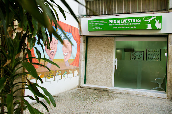 Foto 2 Prosilvestres