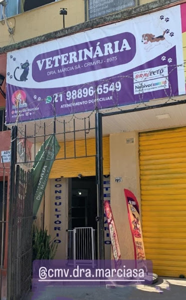 Consultório Veterinário MSá Vets