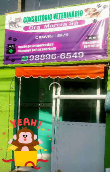 Foto 2 Consultório Veterinário MSá Vets