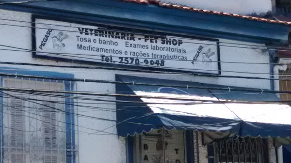 Veterinária Pégaso
