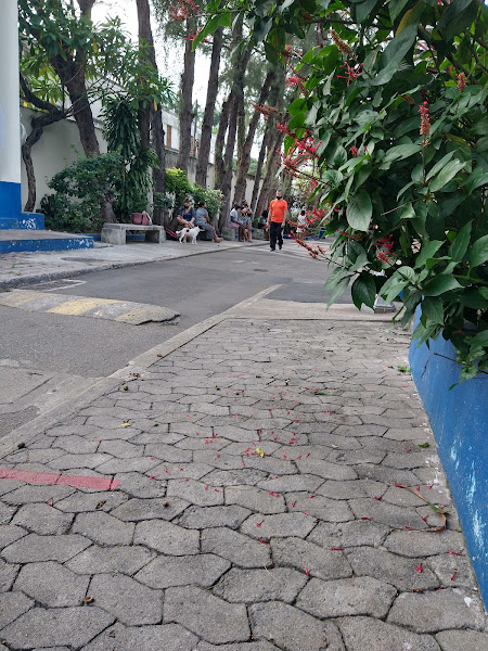 Instituto Municipal de Medicina Veterinária Jorge Vaitsman