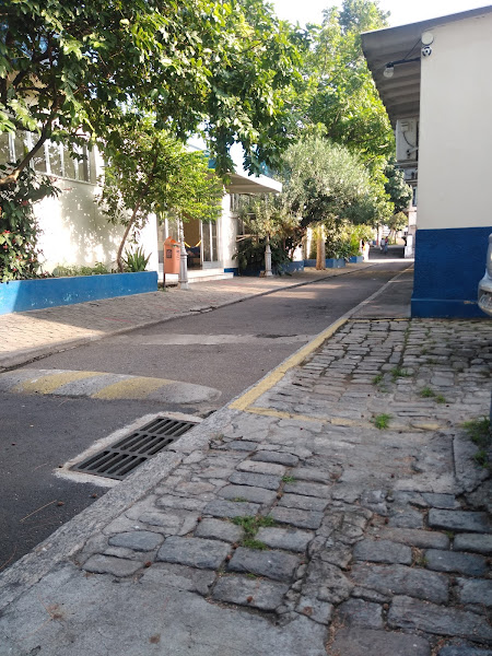 Foto 2 Instituto Municipal de Medicina Veterinária Jorge Vaitsman