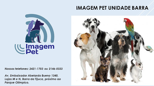 Foto 2 Imagem Pet Barra