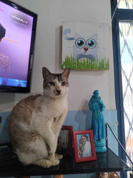 Veterinária Santa Luiza