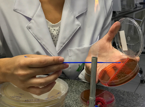 Foto 4 Vet Análises - Laboratório Veterinário