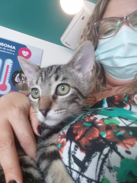 Foto 1 Hospital Popular de Medicina Veterinária - Unidade Praça Seca