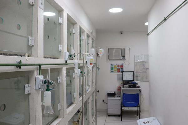 Foto 1 Hospital Popular Veterinário - Unidade São Conrado