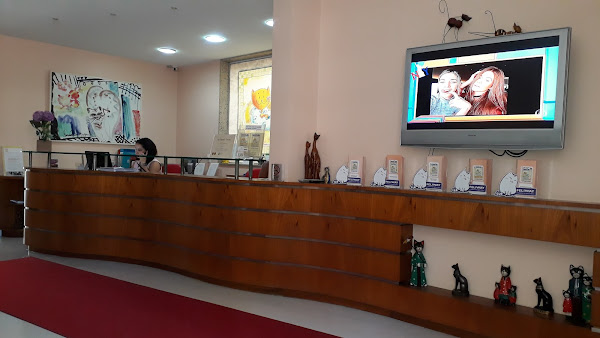 Foto 1 Gatos & gatos