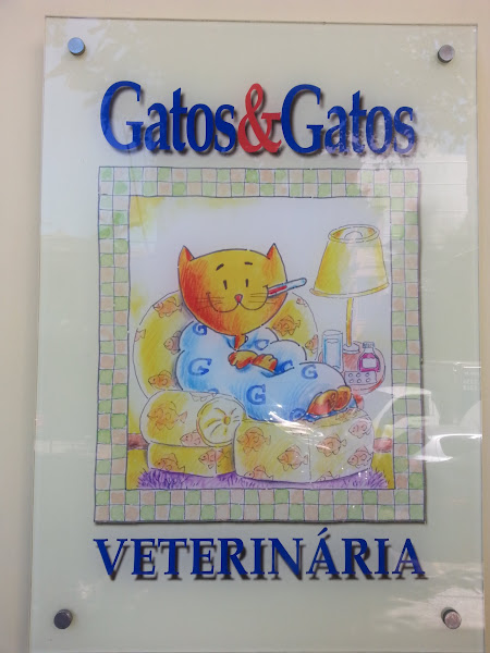 Foto 3 Gatos & gatos