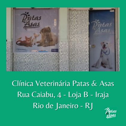 Foto 3 Consultório Veterinário Patas e Asas