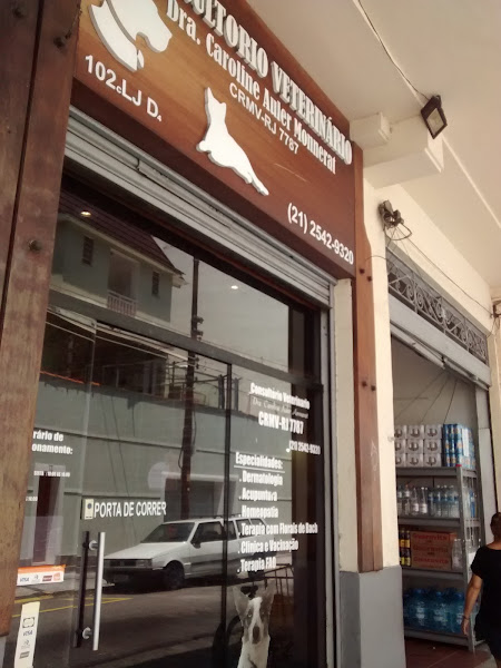 Veterinaria Dra Caroline Veterinaria Dra Caroline