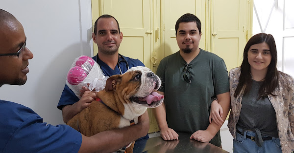 Campello Queiroz Clínica Veterinária
