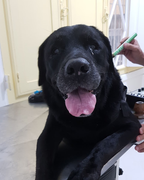 Foto 2 Campello Queiroz Clínica Veterinária